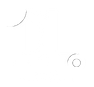 Dlhairinternational